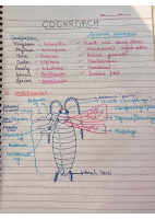 cockroach notes.pdf